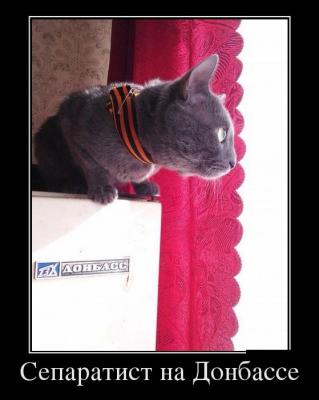 Прикрепленное изображение: demotivatory_22.jpg